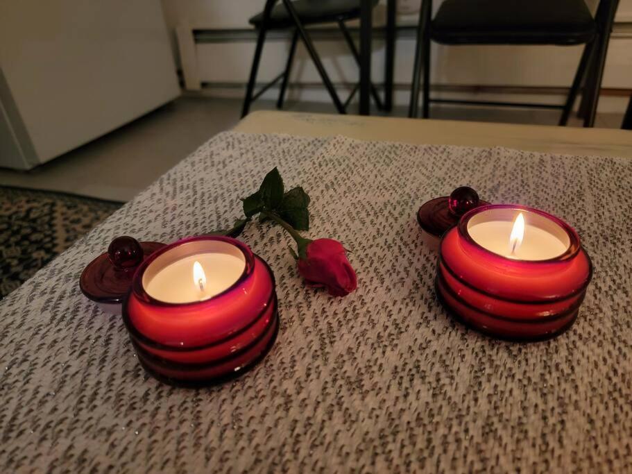 Comfy And Chic Boston Apartment! Free Parking Extérieur photo